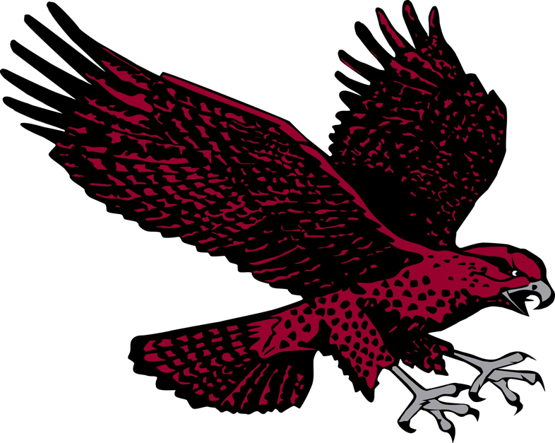 Maryland-Eastern Shore Hawks 2007-Pres Secondary Logo iron on transfers for T-shirts